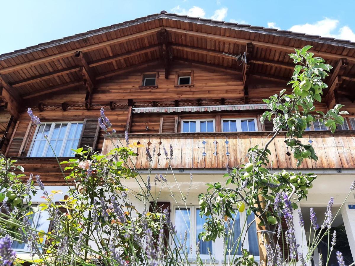 Cozy Chalet By Interlaken. Parking Apartment Рингенберг Екстериор снимка